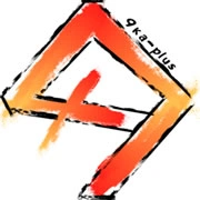 Радио 9 Plus логотип