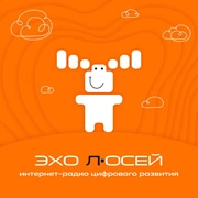 Радио ЭХО лОСЕЙ логотип