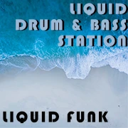 Liquid DnB Station логотип