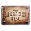 Народная Волна