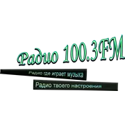 Радио 100.3 FM