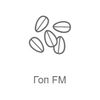 Рекорд Гоп FM