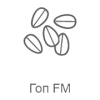 Рекорд Гоп FM