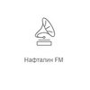 Рекорд Нафталин FM