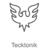 Record Tecktonik