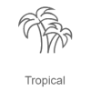 Record Tropical