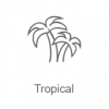 Record Tropical