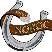 Radio Noroc логотип