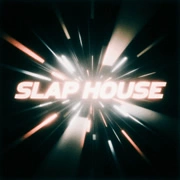 Радио Slap House