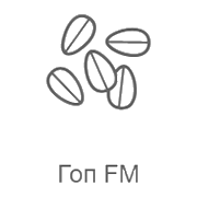 Радио Рекорд Гоп FM