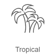 Радио Record Tropical