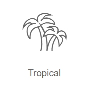 Радио Record Tropical