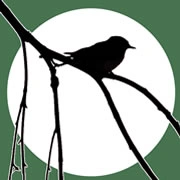 Радио Живая Природа